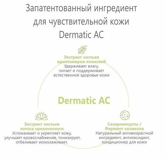 ROUND LAB Мягкий увлажняющий солнцезащитный крем Birch Juice Moisturizing Mild-Up Sunscreen SPF 50+ PA+++ 50 мл ROUND LAB Мягкий увлажняющий солнцезащитный крем Birch Juice Moisturizing Mild-Up Sunscreen SPF 50+ PA+++ 50 мл