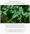 ROUND LAB / Успокаивающий крем с экстрактом полыни RoundLab Mugwort Calming Cream 80ml